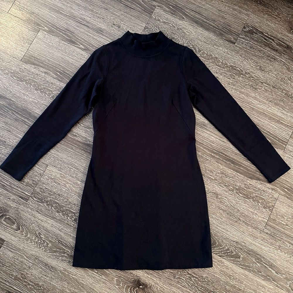 Everlane Long Sleeve Cotton Mockneck Dress